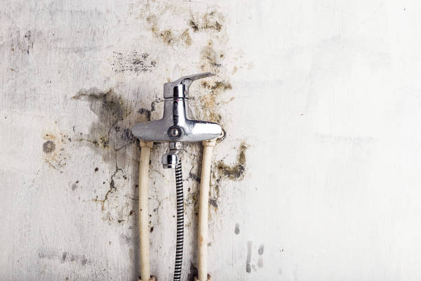 Best Industrial Mold Remediation in Fair Oaks Ranch, TX